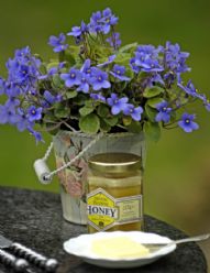 Romantic Breaks for Couples in Cornwall